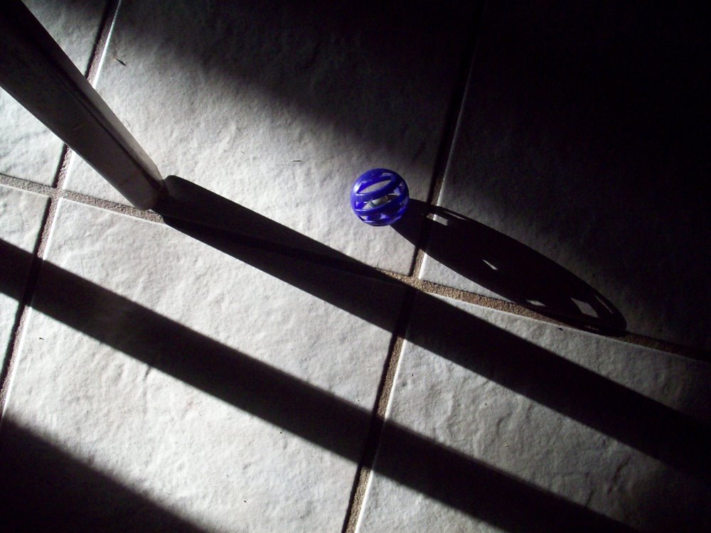 [morninglight_4080www.jpg]