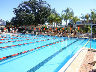 Trinity Tiger Swimming