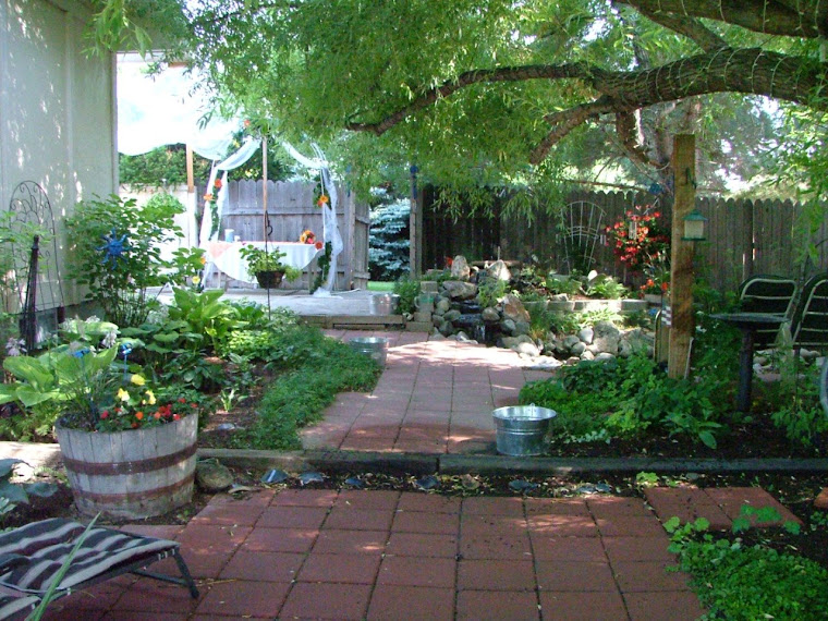 Side Yard - Looking In From Back Yard August 2008
