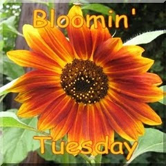 Bloomin Tuesday!