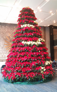 Nochebuenas nochebuena arbolitos arreglo poinsettia Arbolitos de Navidad - Xmas Trees
