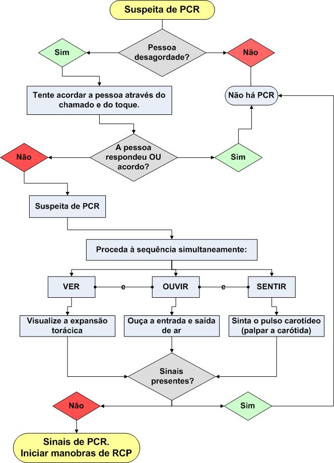 Parada Cardiorrespiratória uma proposta de assistência Identificação da PCR
