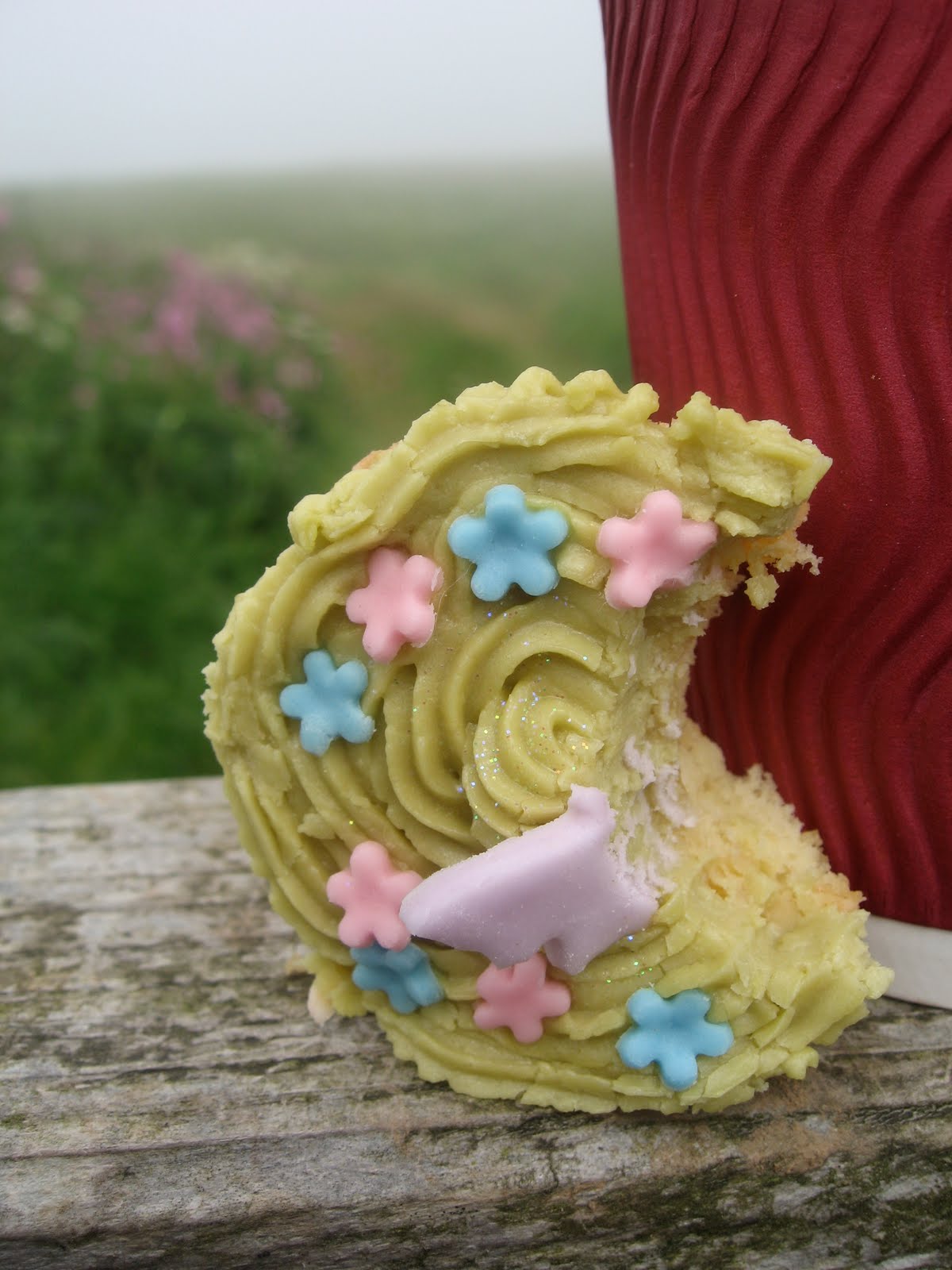 Martin's Moths Butterfly buns