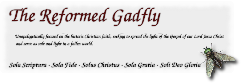 The Reformed Gadfly