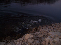 sturgeon on Wolf River