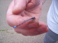 Jeff holding a dragonfly