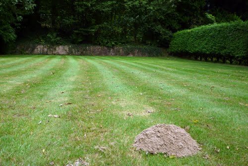English idioms: To make a mountain out of a mole hill