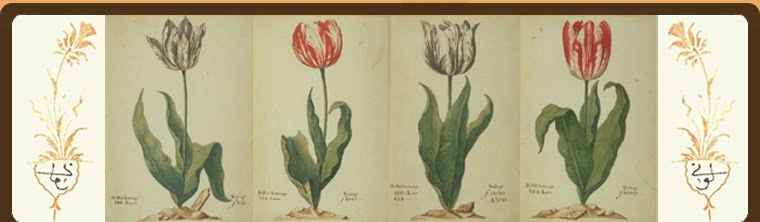 The Tulip Trip