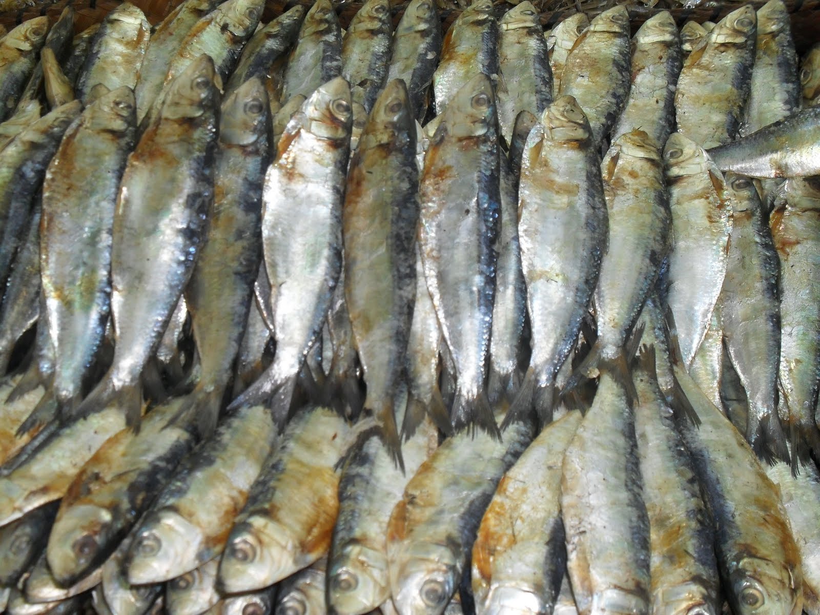 DRIED FISH as an appetizer DRIED FISH...as an Appetizer