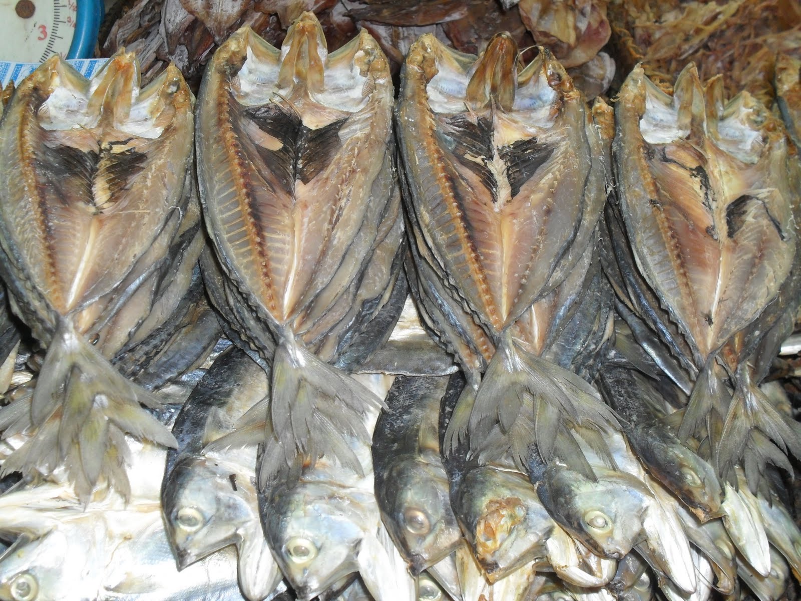 DRIED FISH as an appetizer