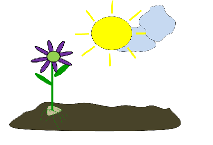 [The+seed+grows.png]