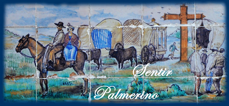 pruebas sentir palmerino