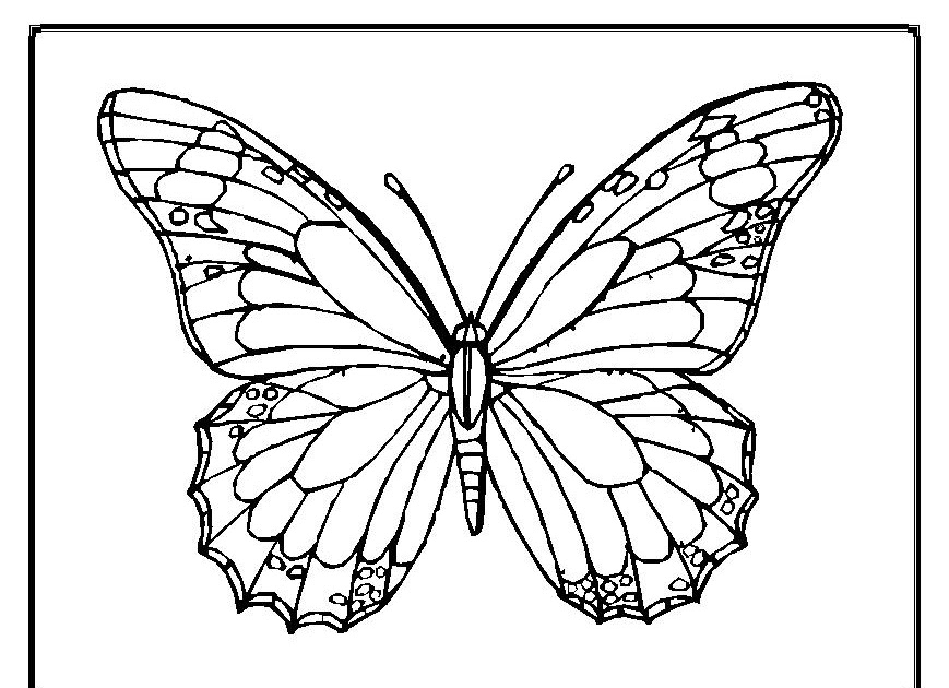 label butterfly coloring pages - photo #20