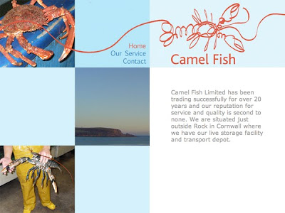 Website Design for Camel Fish