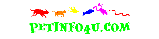 Petinfo4u.com