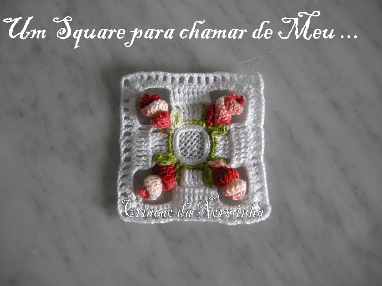 [SquareNorminhaFT.jpg]