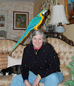 Mary Ellen, the ME part of CrazyBird and ME, along with Cyrus, the crazy bird of CrazyBird and ME
