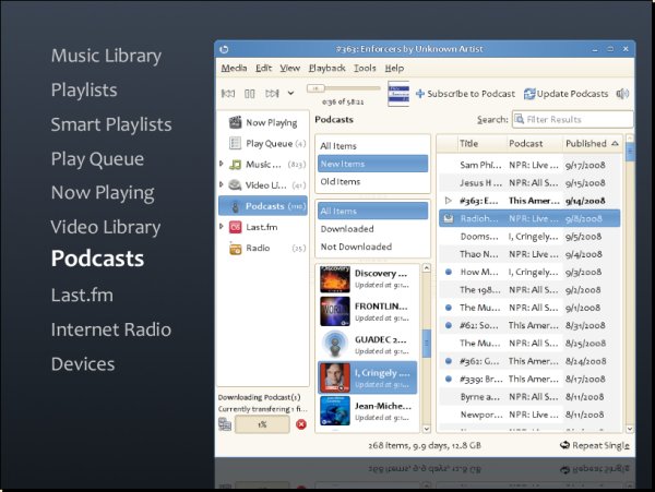 Banshee displaying and downloading podcasts
