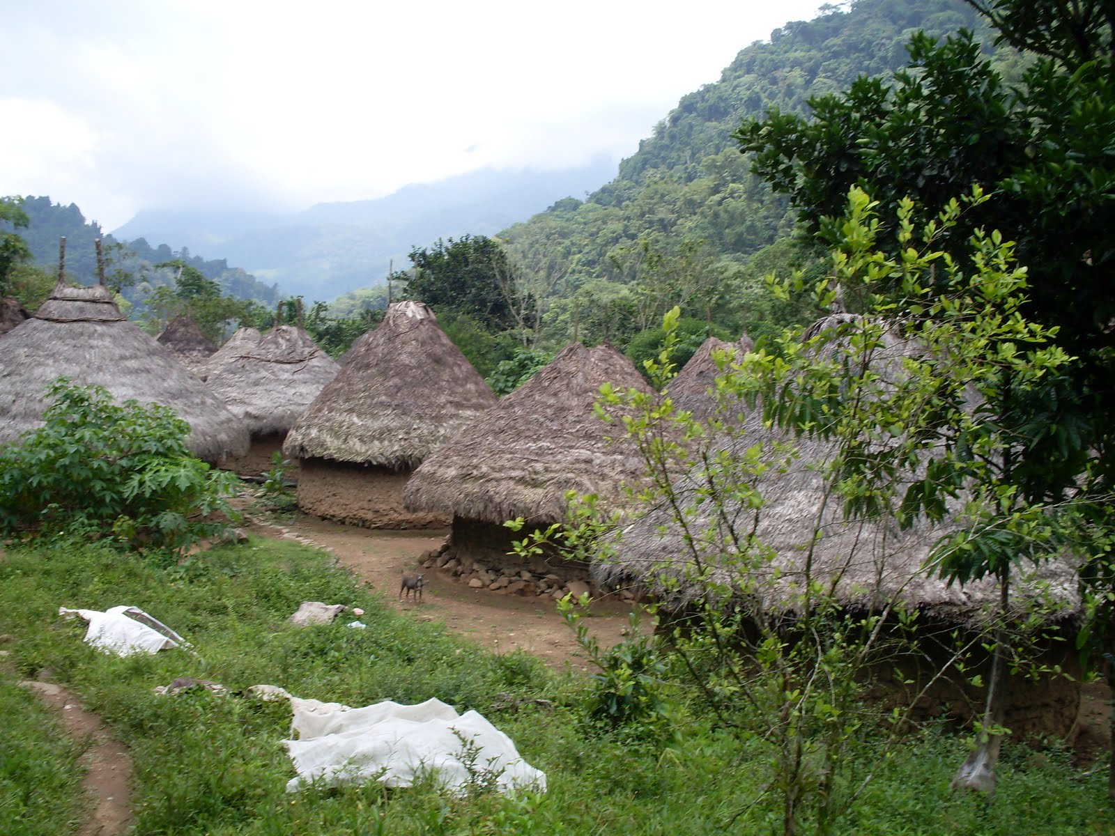 Un village Kogui