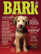 THE BARK