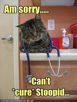 cat+doctor.bmp