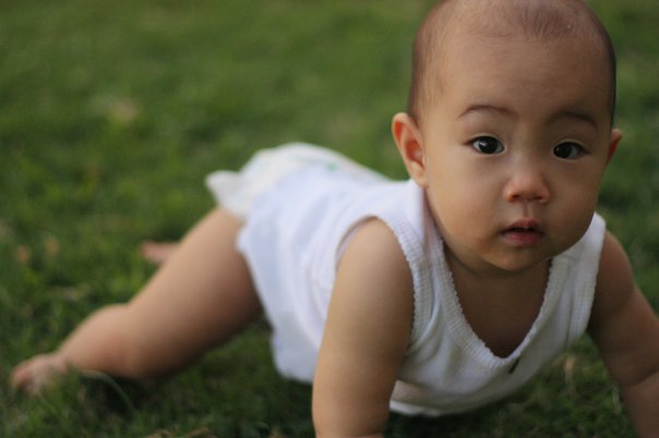 [22659_716995139009_17809928_39538115_5170077_n.jpg]