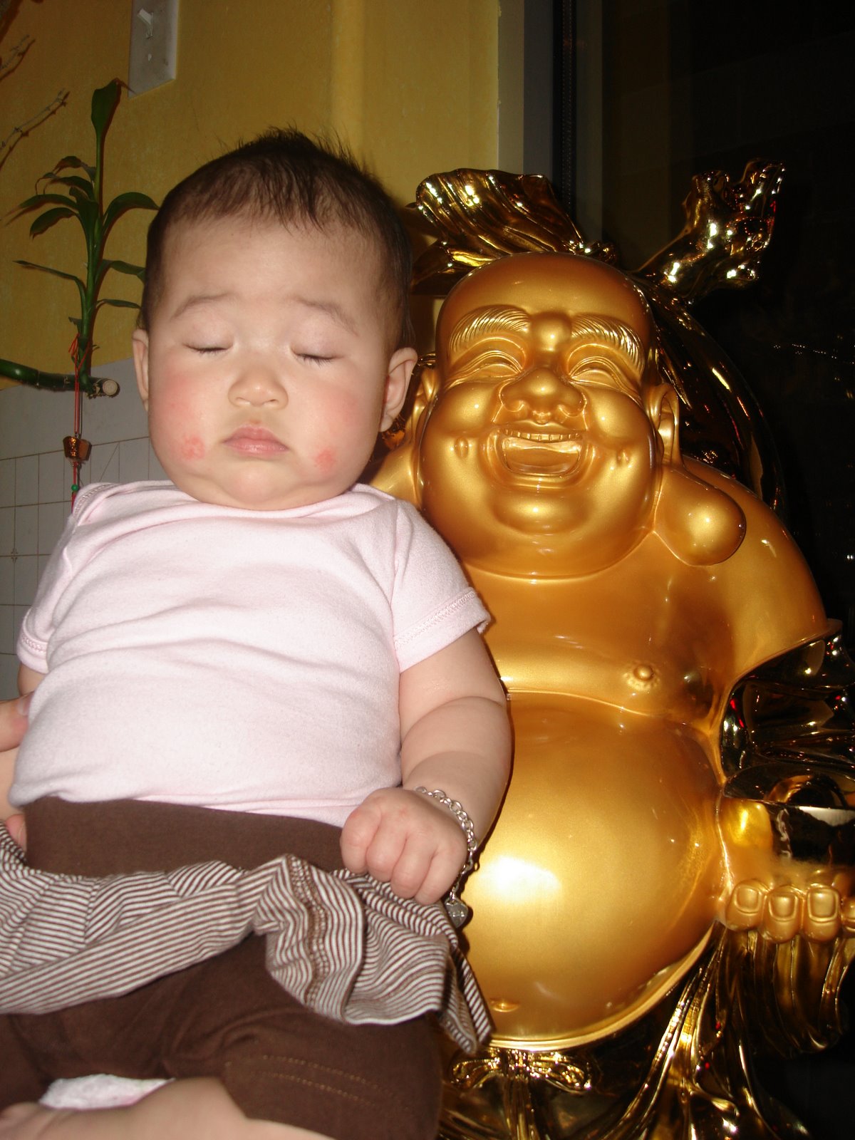 [DSC02571.JPG]