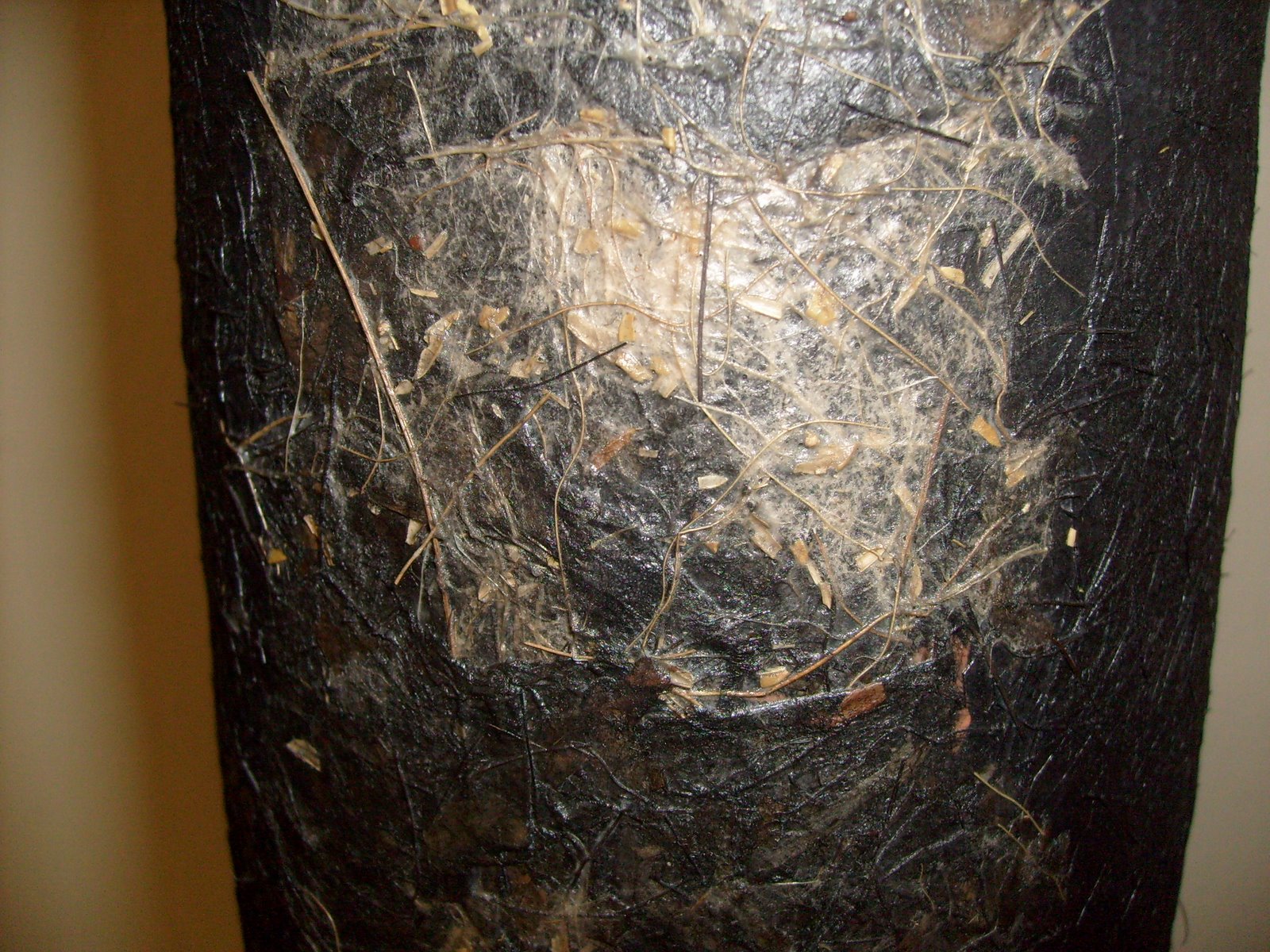 [S7301466.JPG]