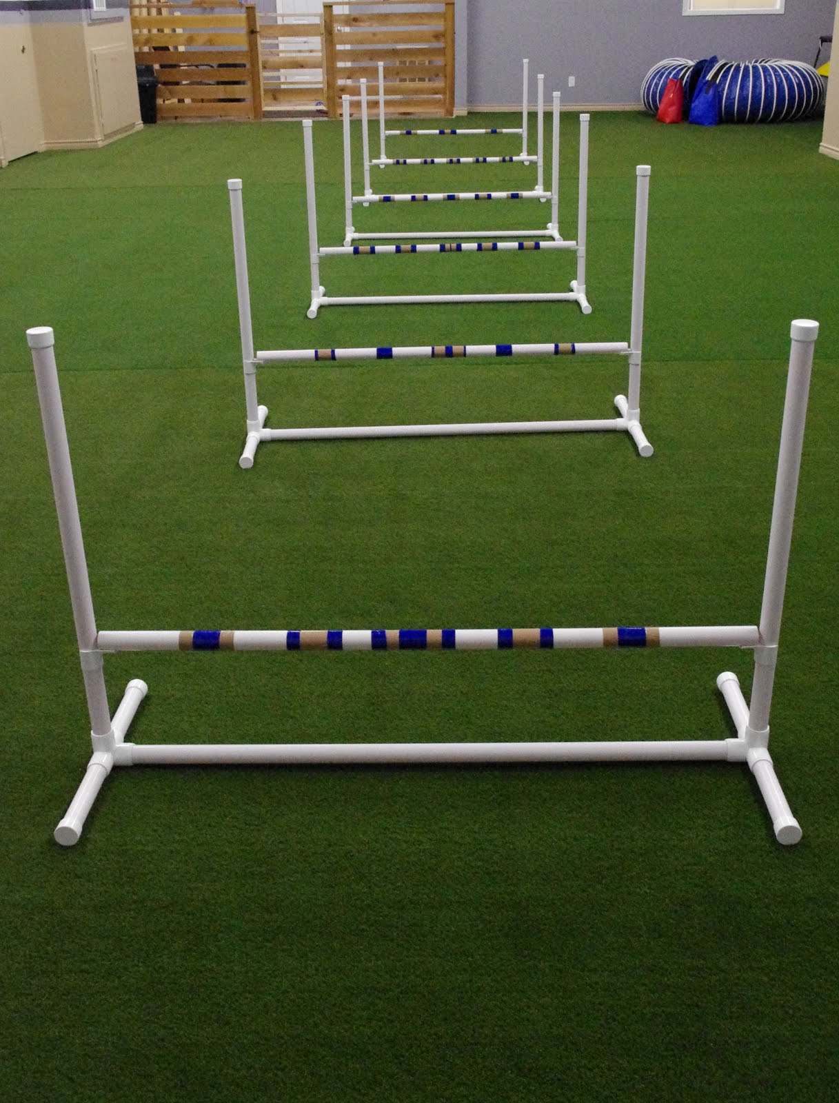 Dogs On Campus: New Agility Equipment