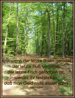 Wald