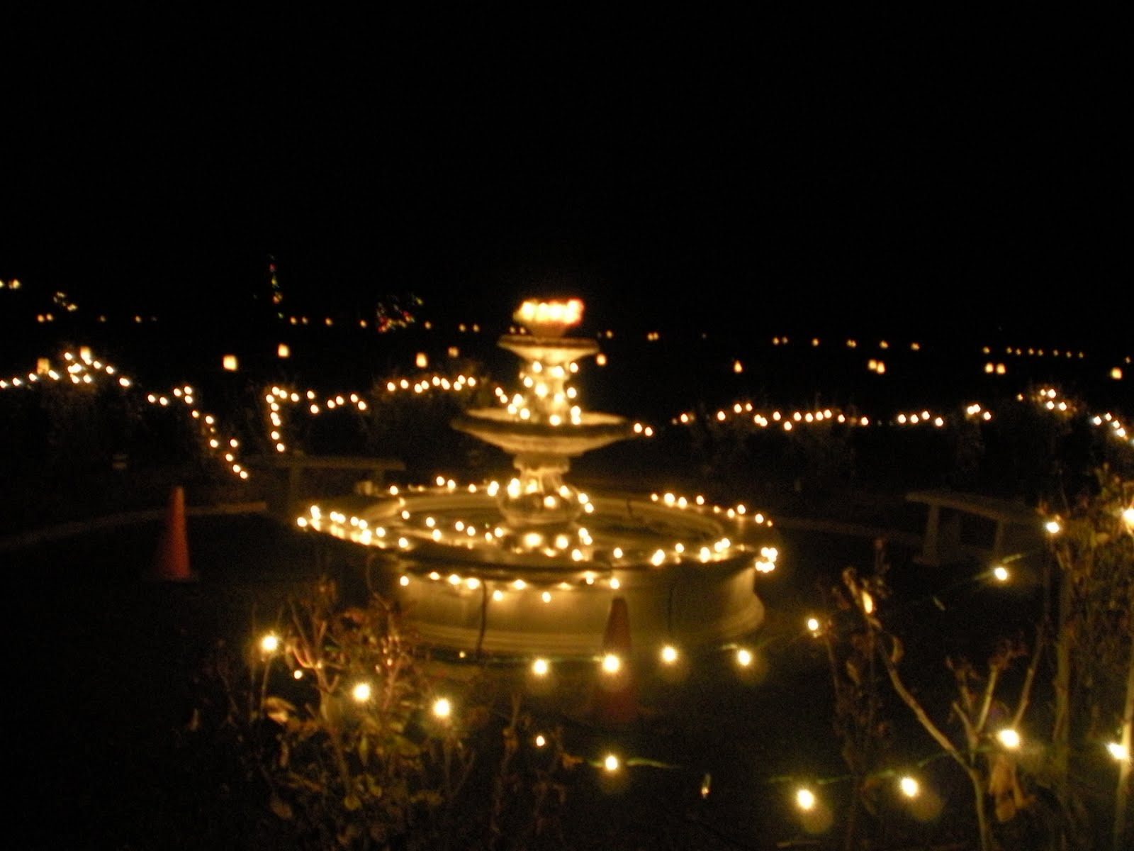 Yakima Valley Blog Luminaria Walk at the Arboretum