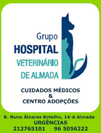 Parceiro - Hospital Veterinário de Almada