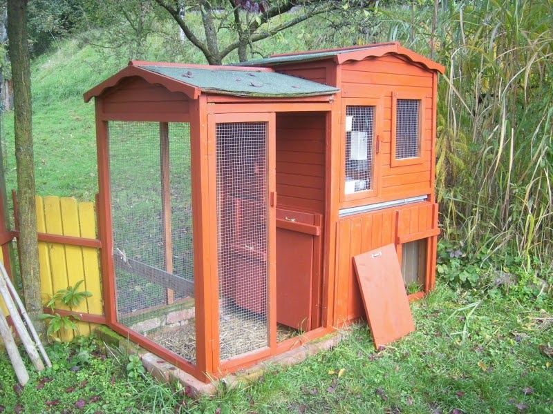 Kleiner Gemüsekönig: Entenhaus für Eugen & Olga