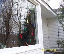 attacking birds reflection window