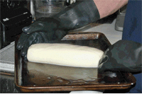 [provolone6.gif]