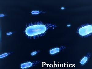 [probioticsbacteria4+copy.jpg]