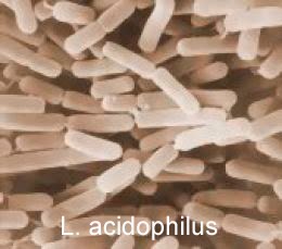 [2180894_f260+copy.jpg]