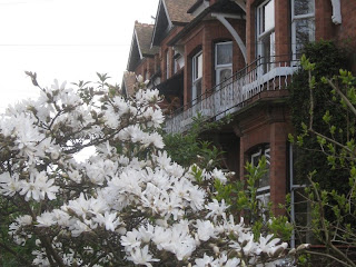 White flowers and Victorian houses