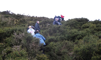 Friends climbing a gorse-covered hill, seen from below