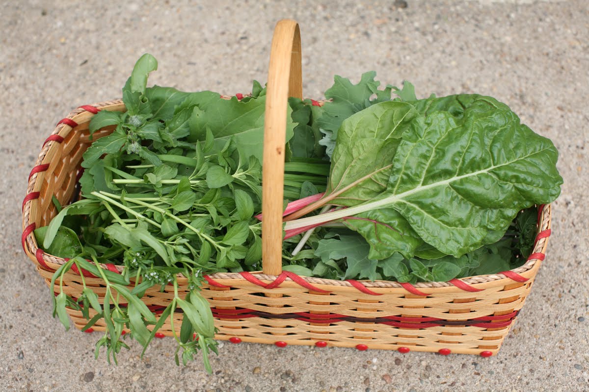 metro farming Fresh Spring Greens...
