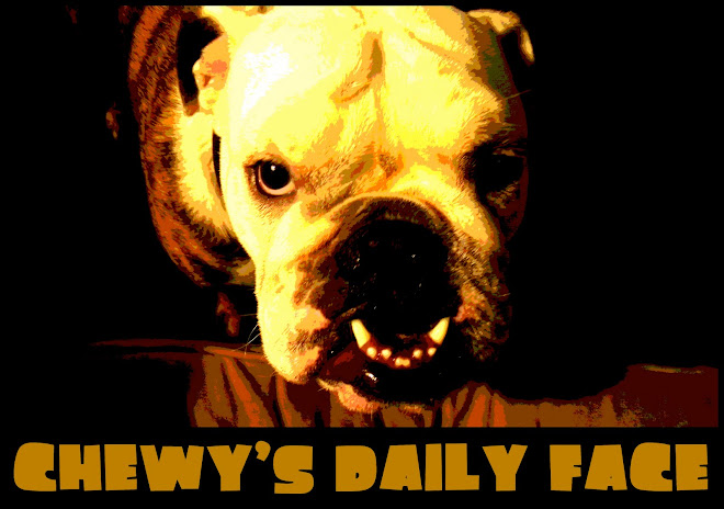 Chewy's Daily Face