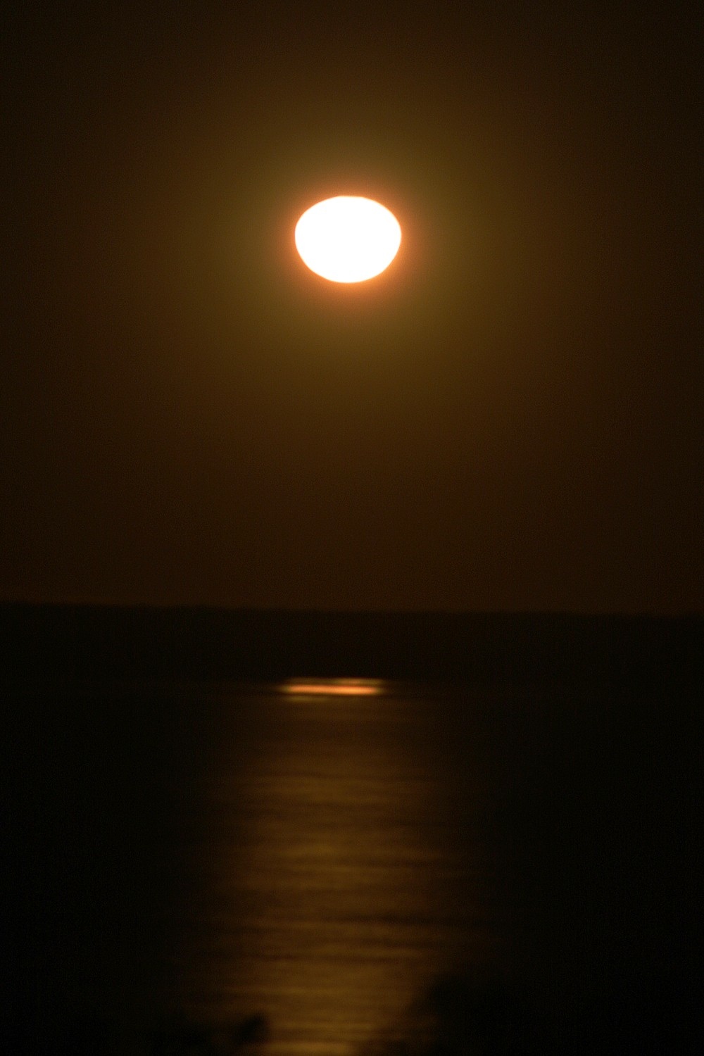 Durnins On Safari Point Samson & Karratha