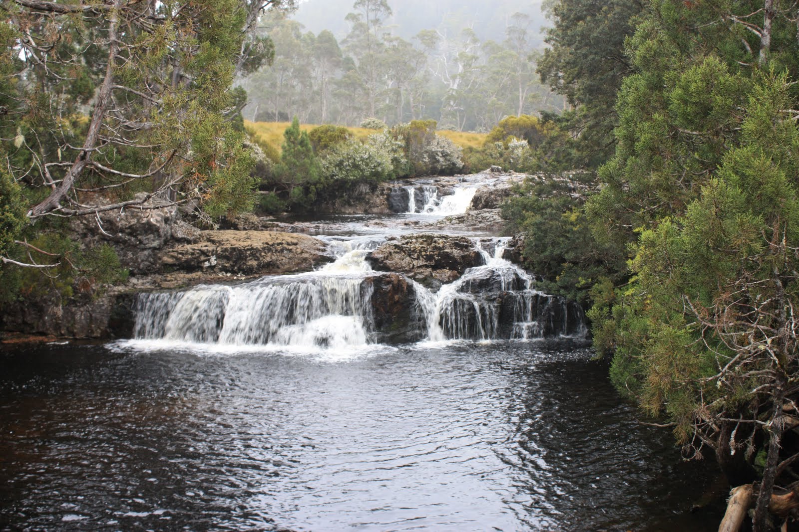 Durnins On Safari: Cradle Mountain Short Walks