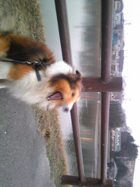 [Image184-798843.jpg]