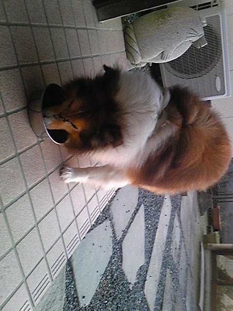 [Image181-770211.jpg]