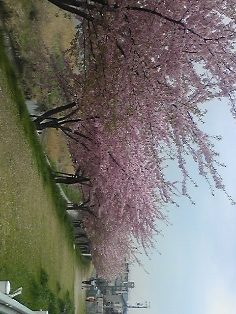 [Image187-754448.jpg]