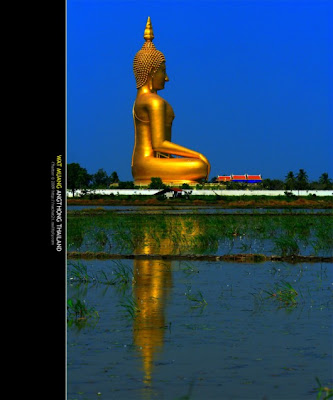 largest_buddha_statue_10.jpg