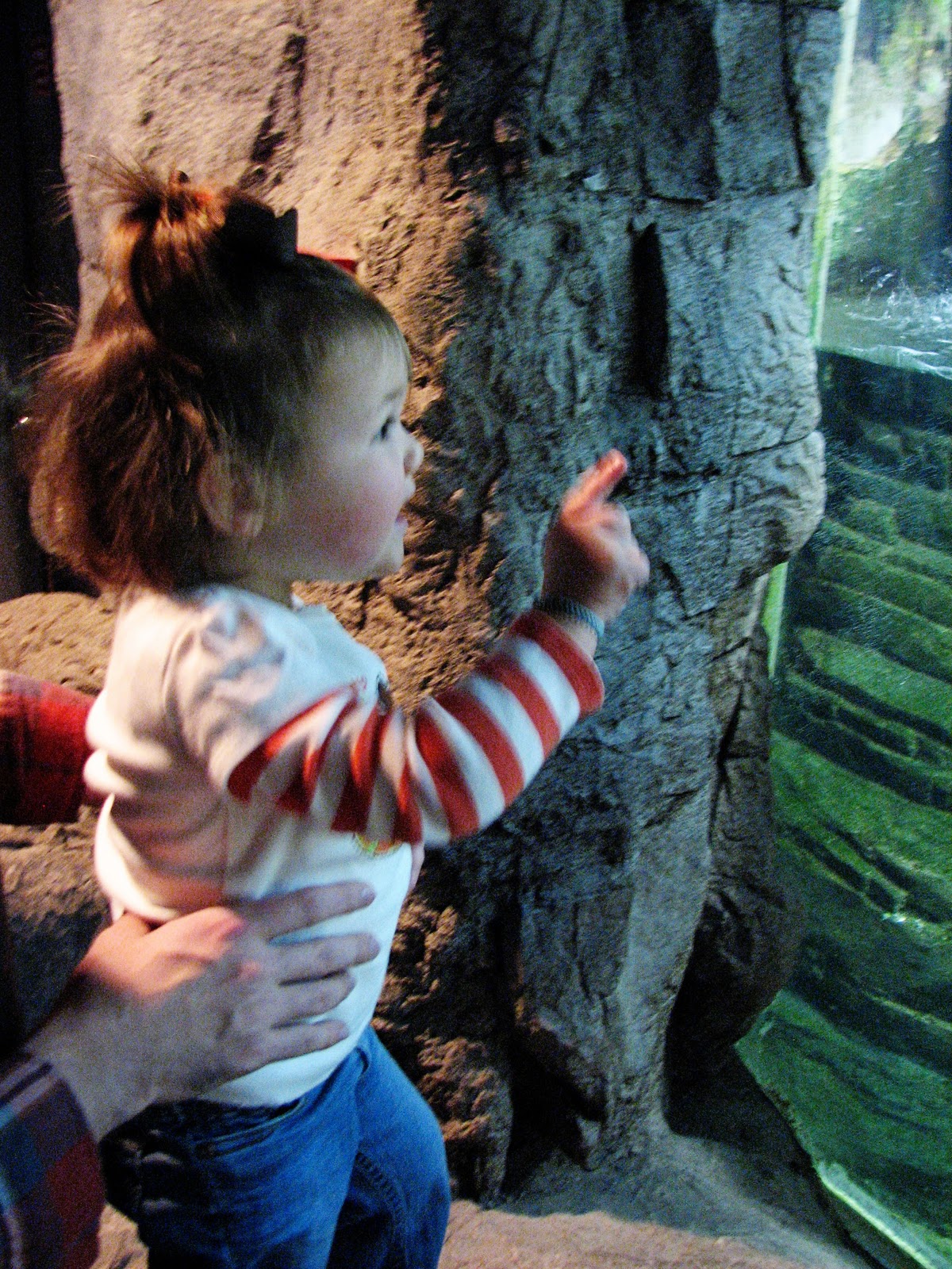 Northern Exposure Sea Life Caverns
