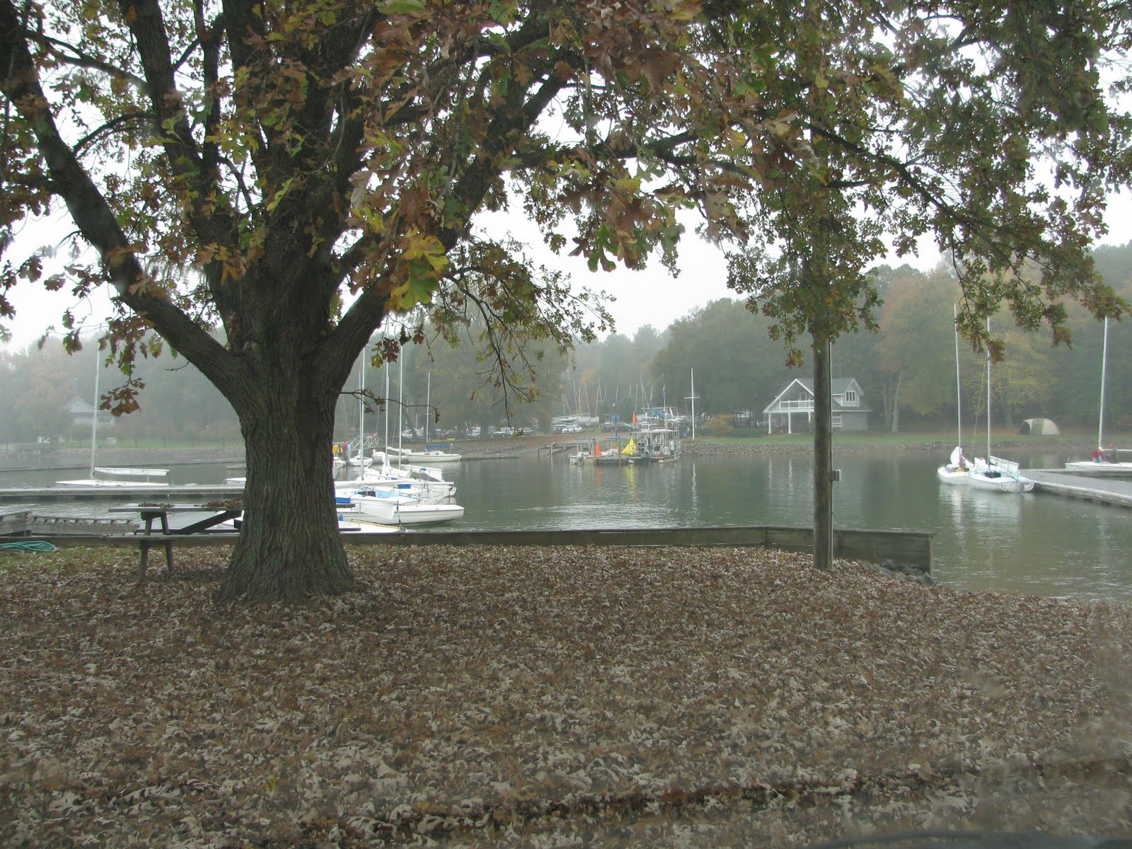 [IMG_1273.JPG]