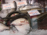 Fresh eel at Eastern Market